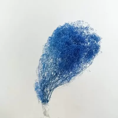 Gypsophila pres.azzurra (gr.50)