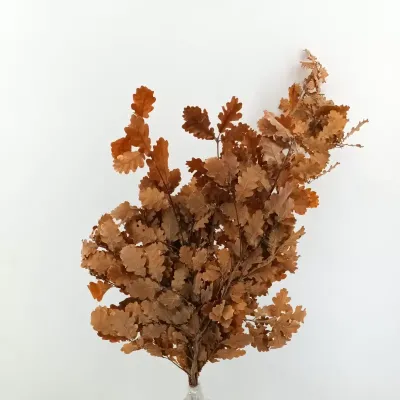Quercia rami stabilizzato (gr.150) arancio