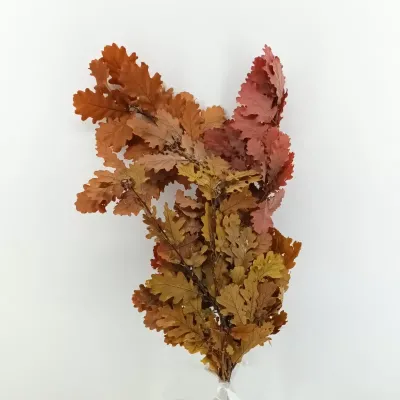 Quercia rami stabilizzato (gr.150) mix autunno