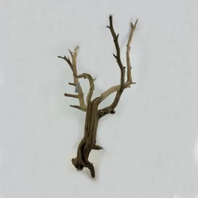 Ghostwood cm.120 sabbiato