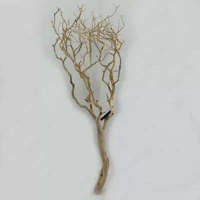 Manzanite chiara 36" (90cm ca)