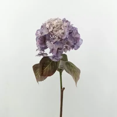 Ortensia singola cm.79 lt.purple