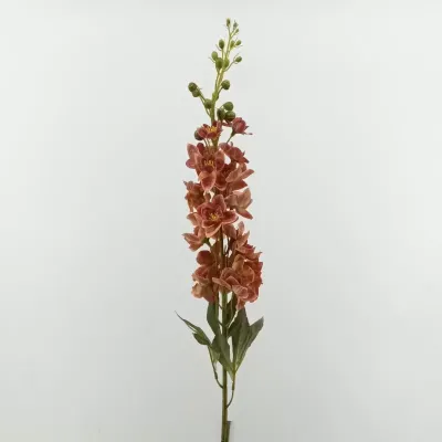 Delphinium stelo cm.85 coral