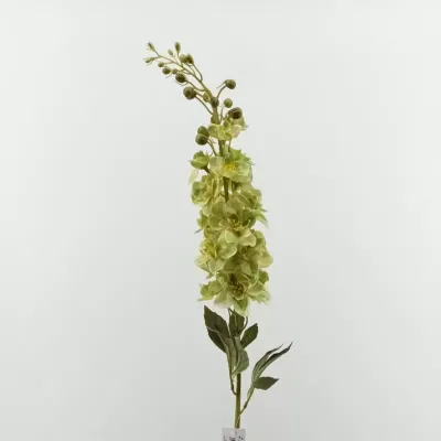 Delphinium stelo cm.85 verde