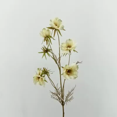 Cosmea ramo cm.74 cream