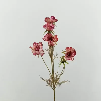 Cosmea ramo cm.74 fucsia