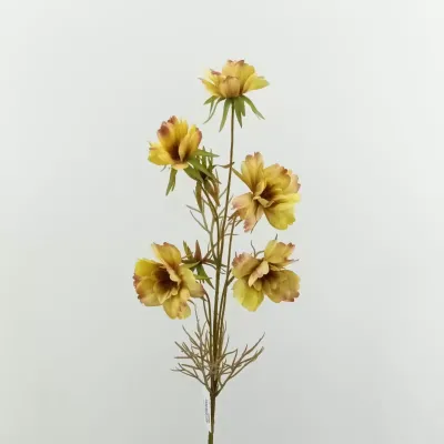 Cosmea ramo cm.74 mustard