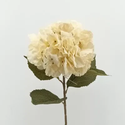 Ortensia cm.82 ivory