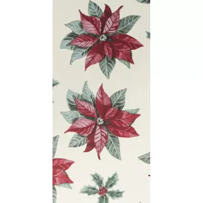 Buste 25x40 stella avorio (pz.50)