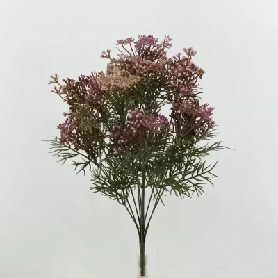 Achillea mazzo cm.45 mauve