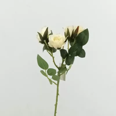 Rosa bocciolo cm.50 avorio