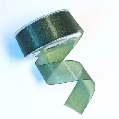 Nastro aladin mm.40 m.25 v.foresta