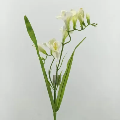 Fresia ramo cm. 56 crema