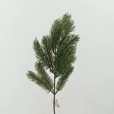 Pino ramo cm.50 verde
