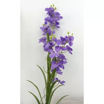 Wanda ramo cm.133 viola