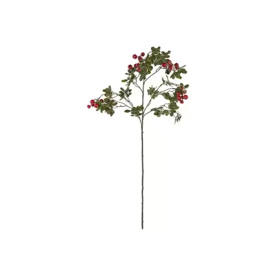 Corniolo ramo cm.104 rosso