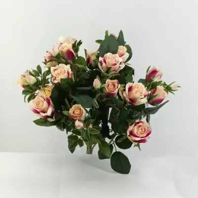 Rosa mazzo cm.59 fuxia