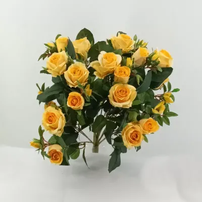 Rosa mazzo cm.59 giallo