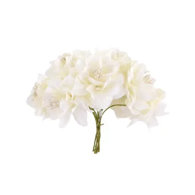 Dahlia mazzolino cm.13 crema (pz.12)