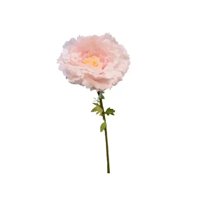 Peonia gigante h.135 rosa
