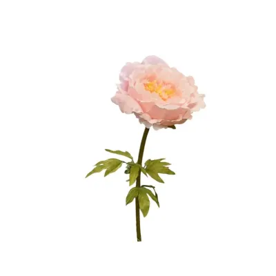 Peonia gigante h.115 rosa