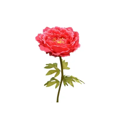 Peonia gigante h.115 fucsia
