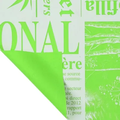 Bobina cp 1x20 newspaper verde salvia 50my 