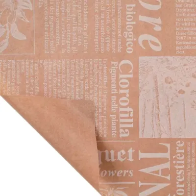 Bobina c 0,80x40 newspaper bianco