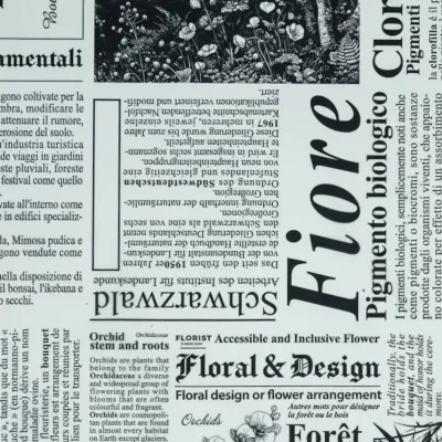 Bobina cp 1x25 newspaper nero