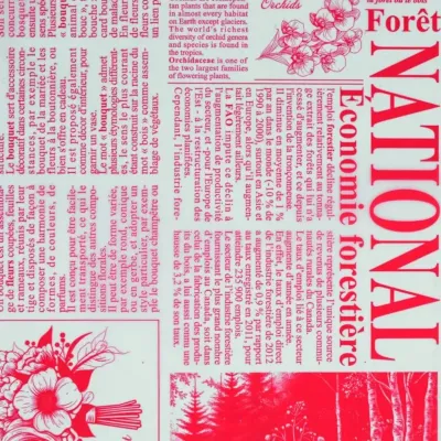 Bobina cp 1x25 newspaper rosso