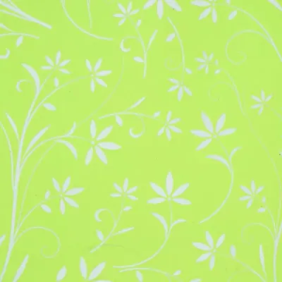 Bobina cp 0,8x40 silhouette verde pastello