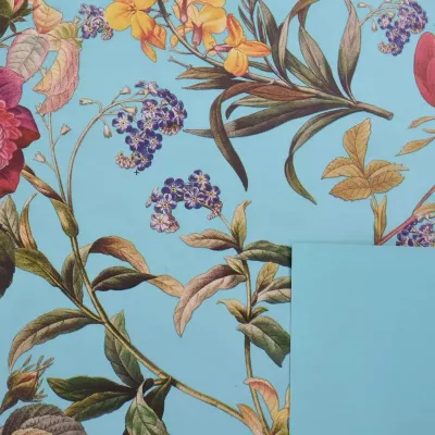 Bobina cp 1x25 arboretum blu