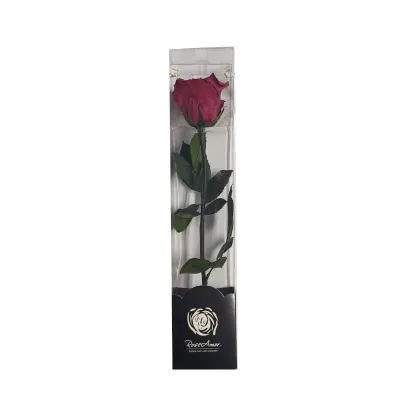 Rosa pres. con stelo h30 viola scuro
