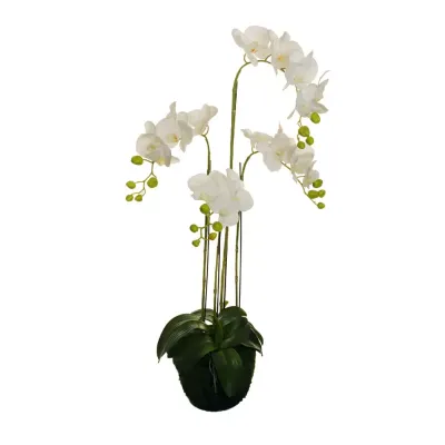Sv-phalaenopsis cm. 108 - 4 steli