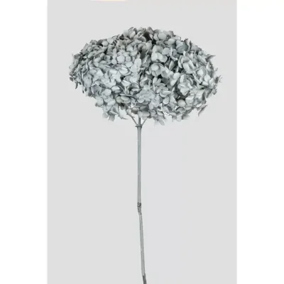 Ortensia annabel cm.70 grigio