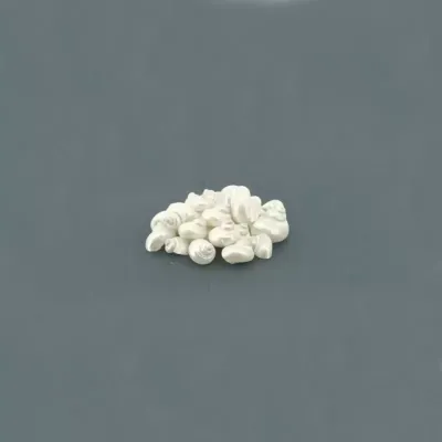 Conchiglia chiocciola perlata (gr.300)