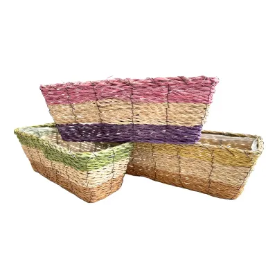 Bg-vaschetta rett. 30x12 assortito