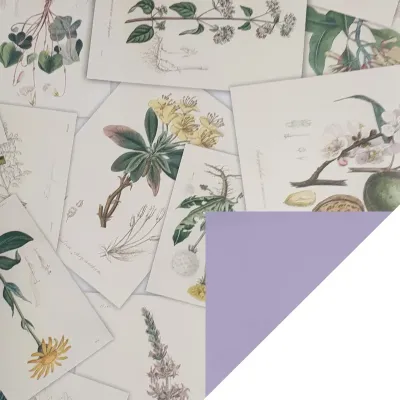 Bobina cpr 1x25 botanical prof. lavanda