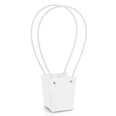 Carrybag  06x10 bianco (pz.10)