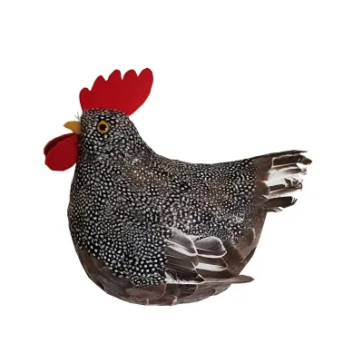 Gallina cenerina 37x32 cm