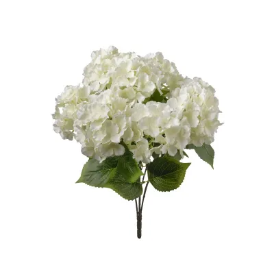 Ortensia mazzo cm.50 bianco