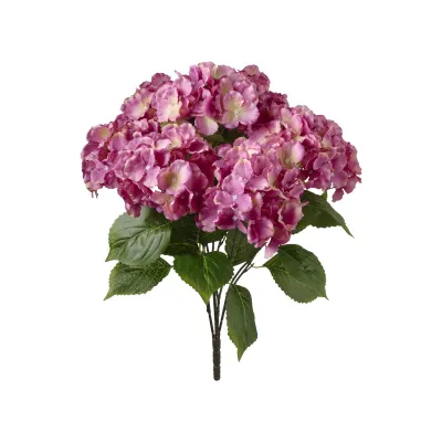 Ortensia mazzo cm.50 rosa