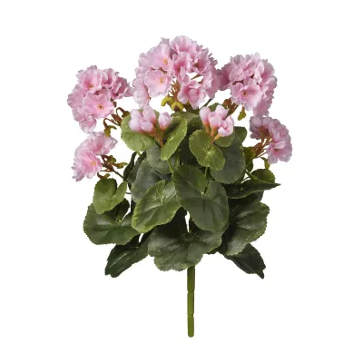 Geranio mazzo cm.38 rosa