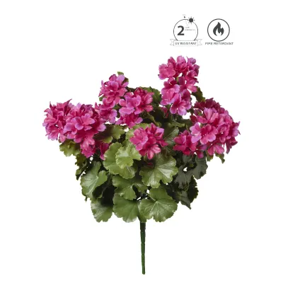 Geranio zonale cm.50 fucsia