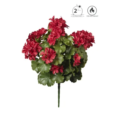Geranio zonale cm.50 rosso