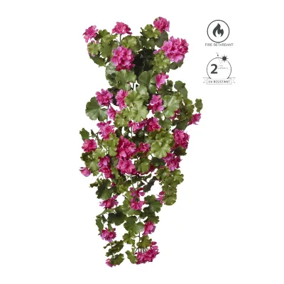 Geranio cadente cm.89 fucsia