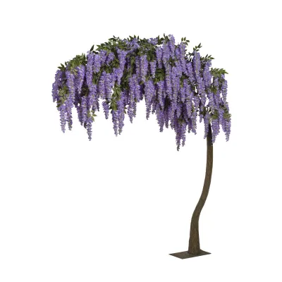 Glicine pianta h.300 lavanda