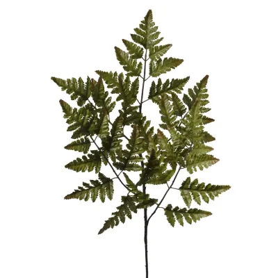 Felce ramo cm. 66 verde