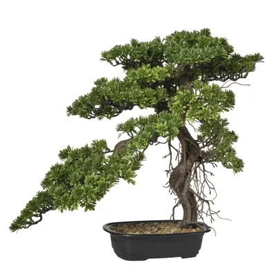 Bonsai h.61 verde