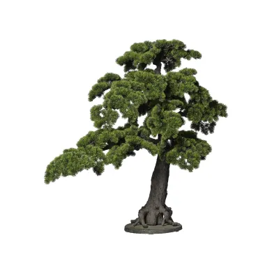 Bonsai pino h.115 verde